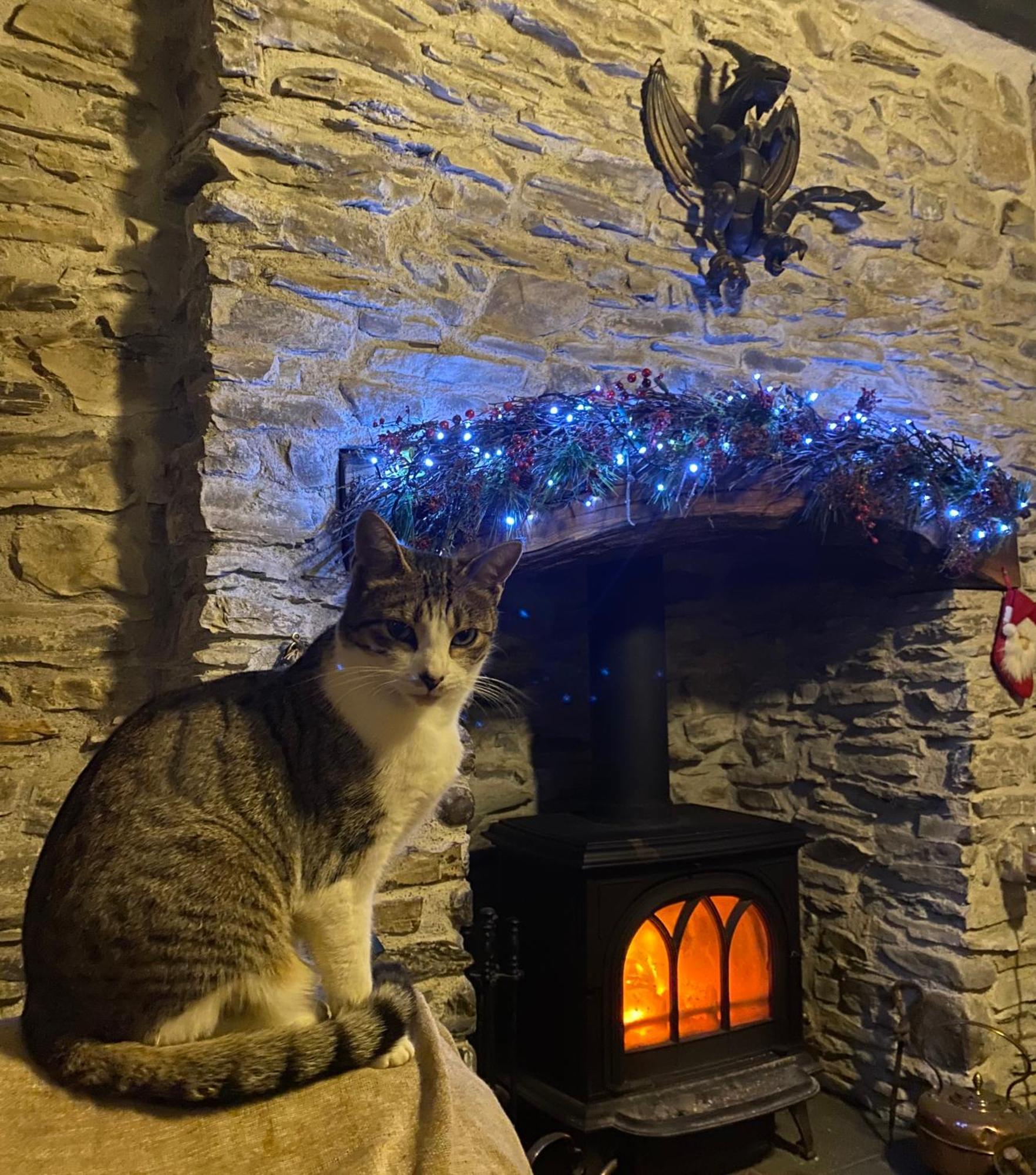 Five Saints Farmhouse B&B Pumpsaint Bagian luar foto