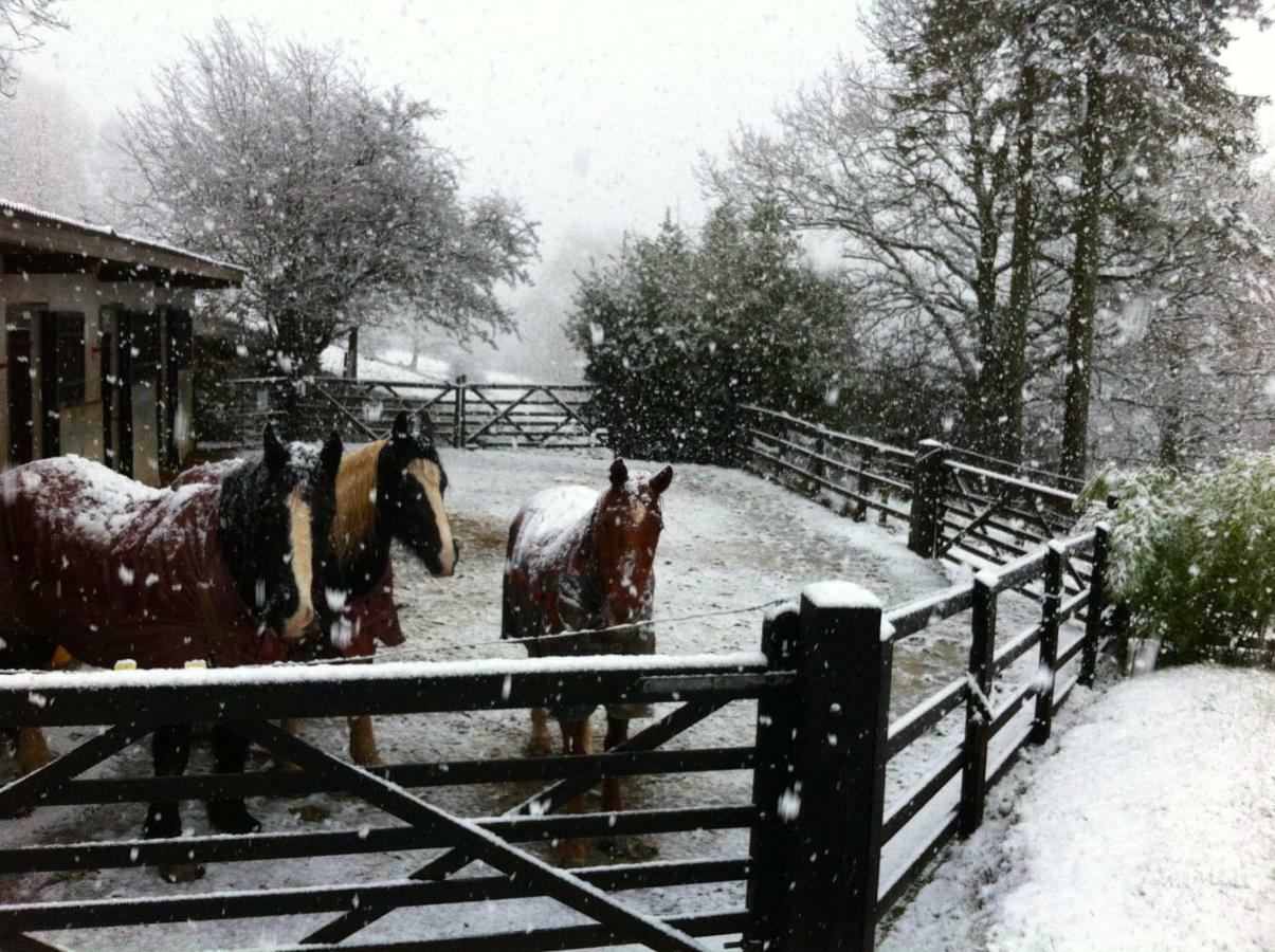 Five Saints Farmhouse B&B Pumpsaint Bagian luar foto