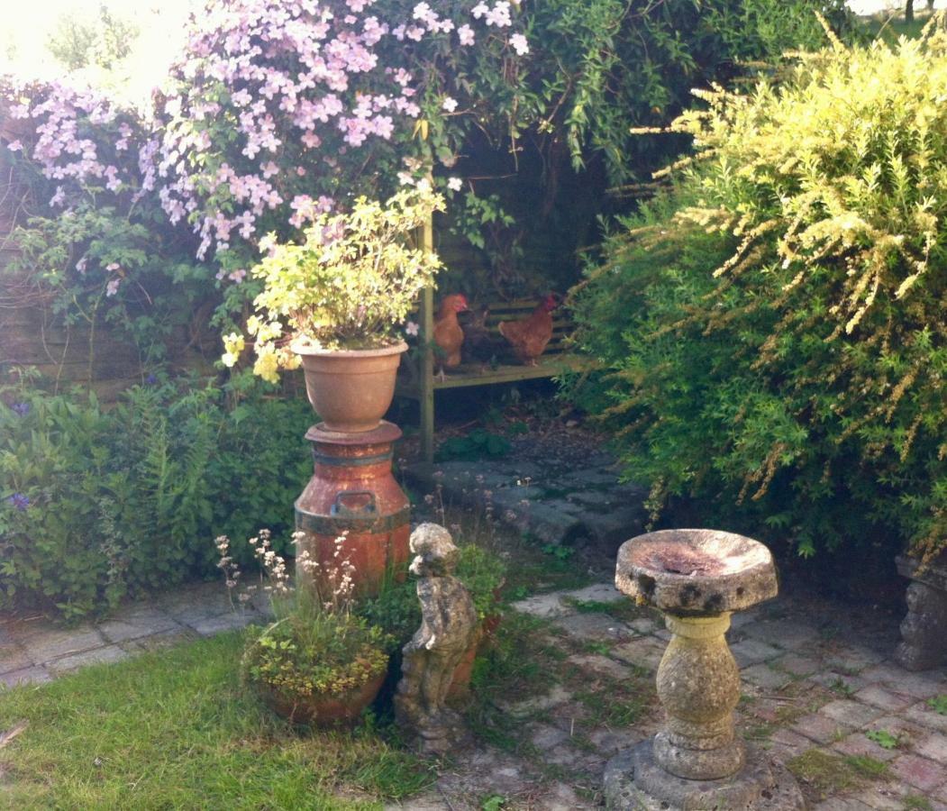 Five Saints Farmhouse B&B Pumpsaint Bagian luar foto