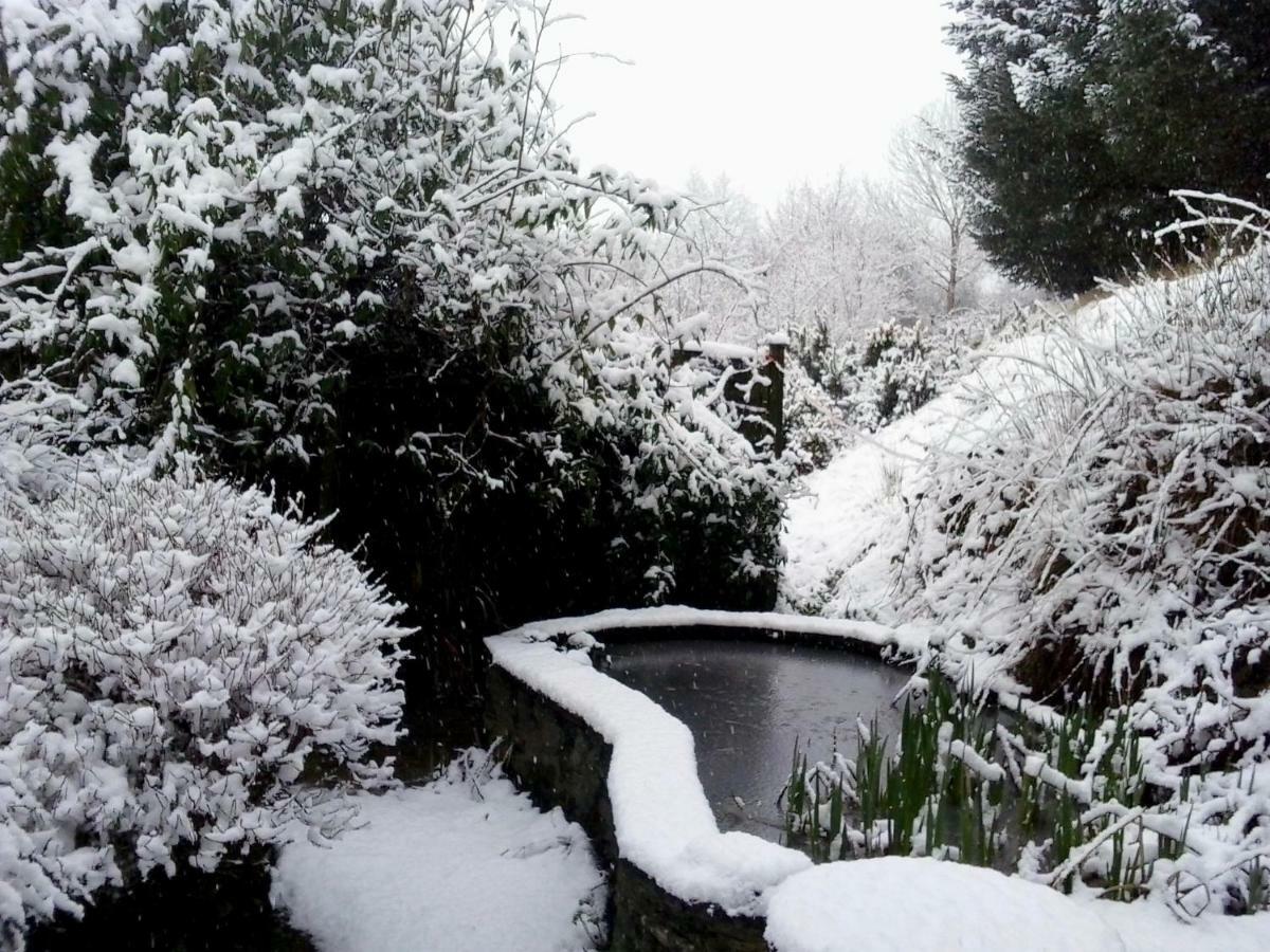 Five Saints Farmhouse B&B Pumpsaint Bagian luar foto